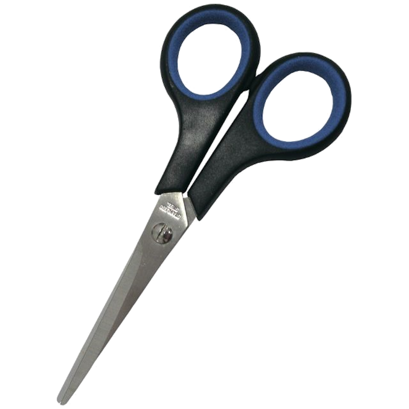 Канцелярські ножиці ECONOMIX (E40401)